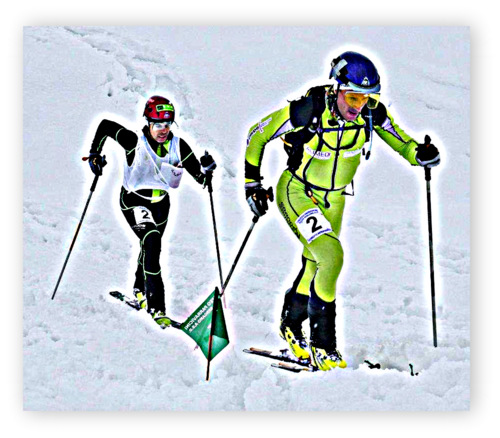 parravicini 2013