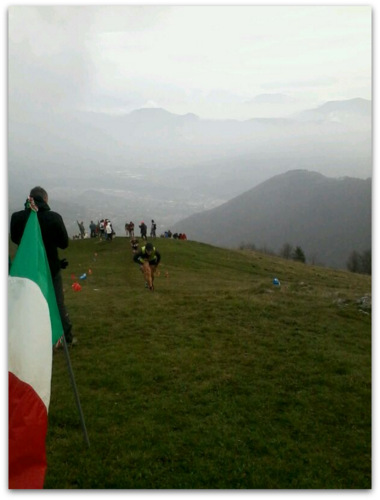 verticalpoieto2013 02