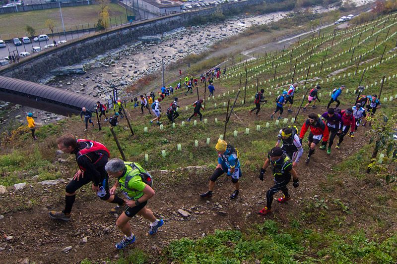 wintrail2013