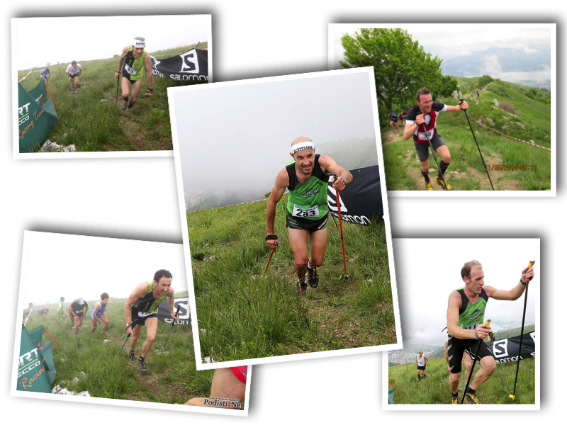 cornizzolo collage 2014