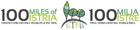 logo web